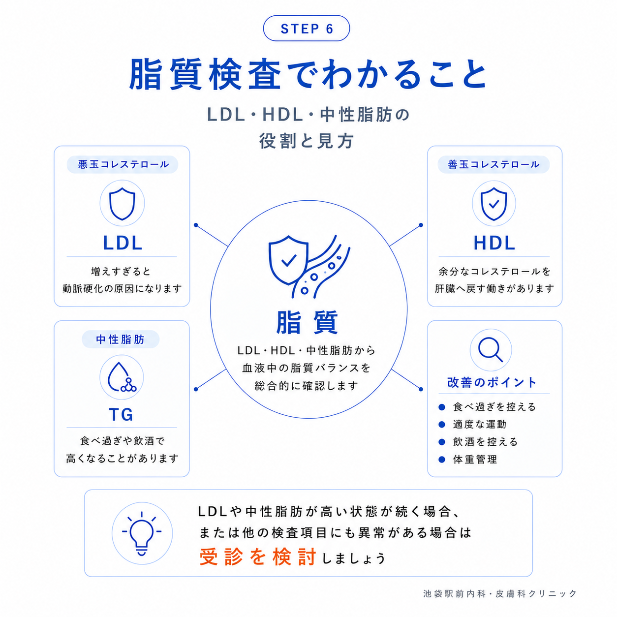 脂質検査（LDL・HDL・中性脂肪）の見方