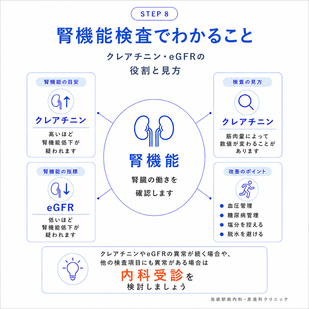 腎機能検査（クレアチニン・eGFR）の見方