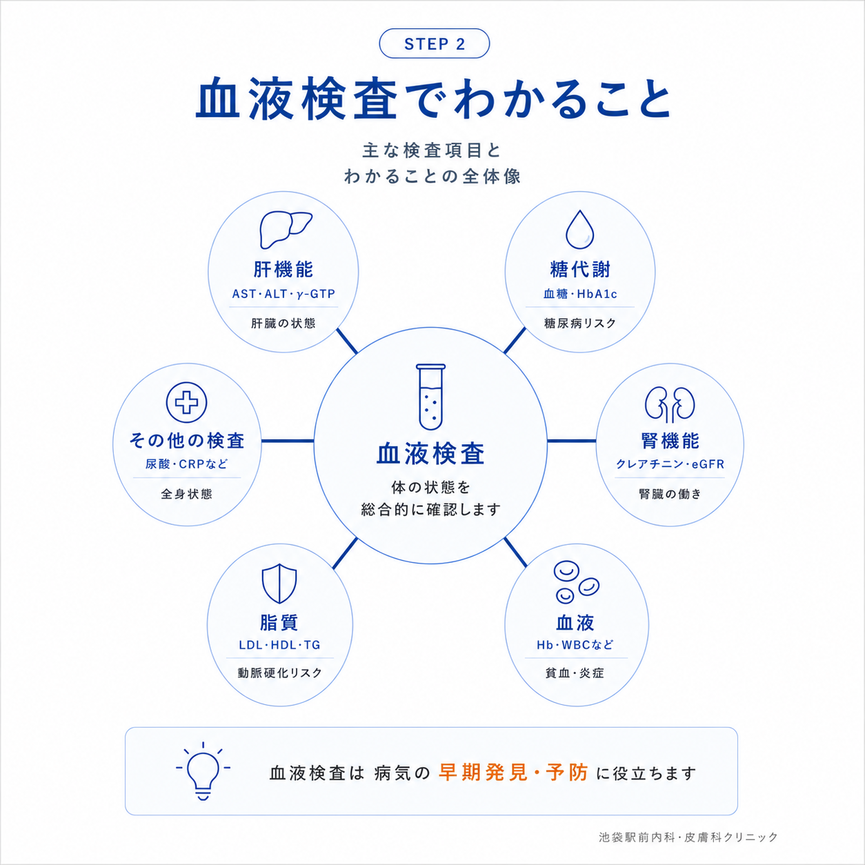 健康診断の血液検査 全体マップ（肝機能・脂質・糖代謝・腎機能・血液の5分野）